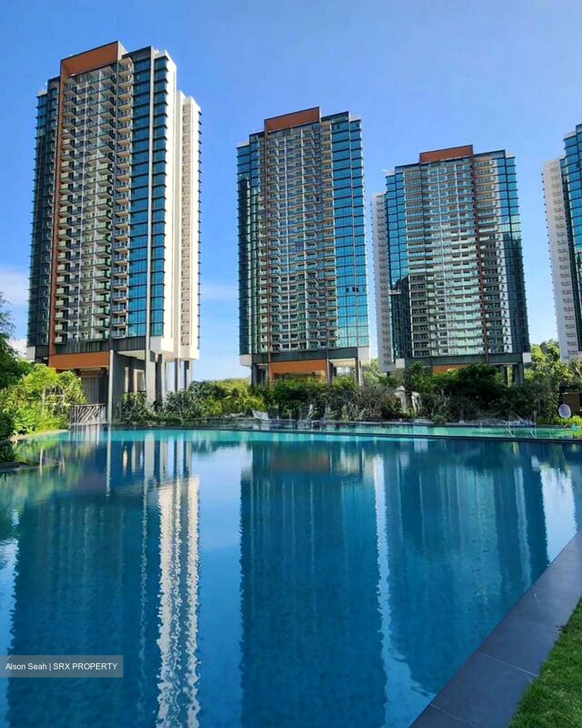 Normanton Park (D5), Apartment #504599961